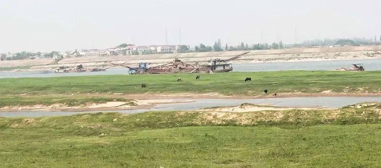 1587437548606284.jpg 微信圖片_20200420115126.jpg